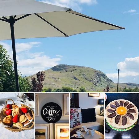 Hillcrest Farmhouse Bed & Breakfast Boyhollagh エクステリア 写真