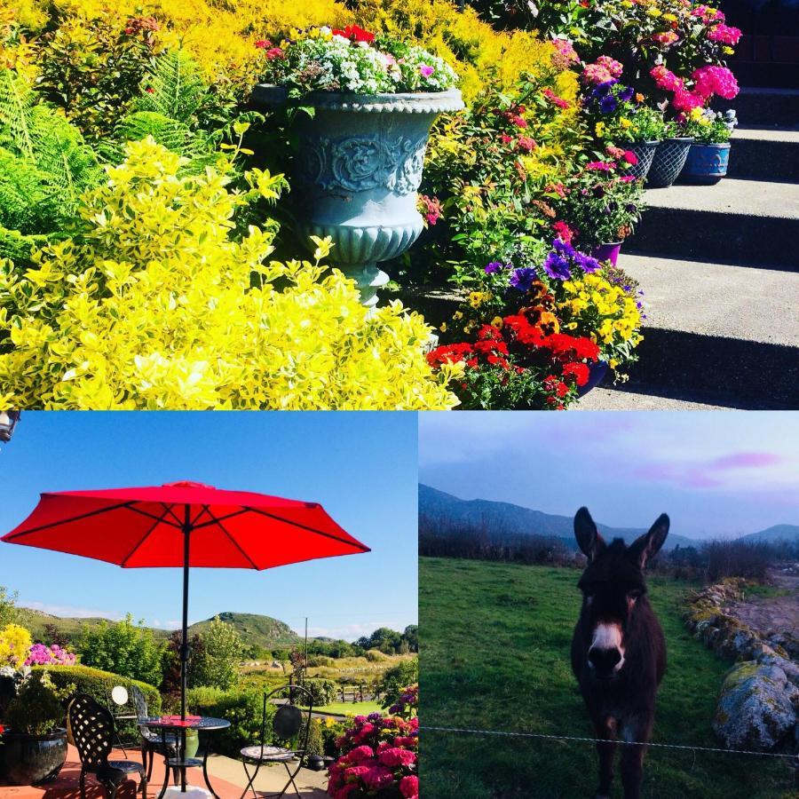 Hillcrest Farmhouse Bed & Breakfast Boyhollagh エクステリア 写真