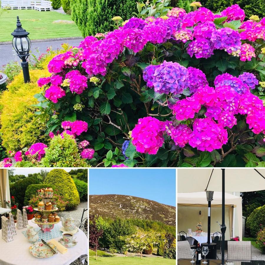 Hillcrest Farmhouse Bed & Breakfast Boyhollagh エクステリア 写真