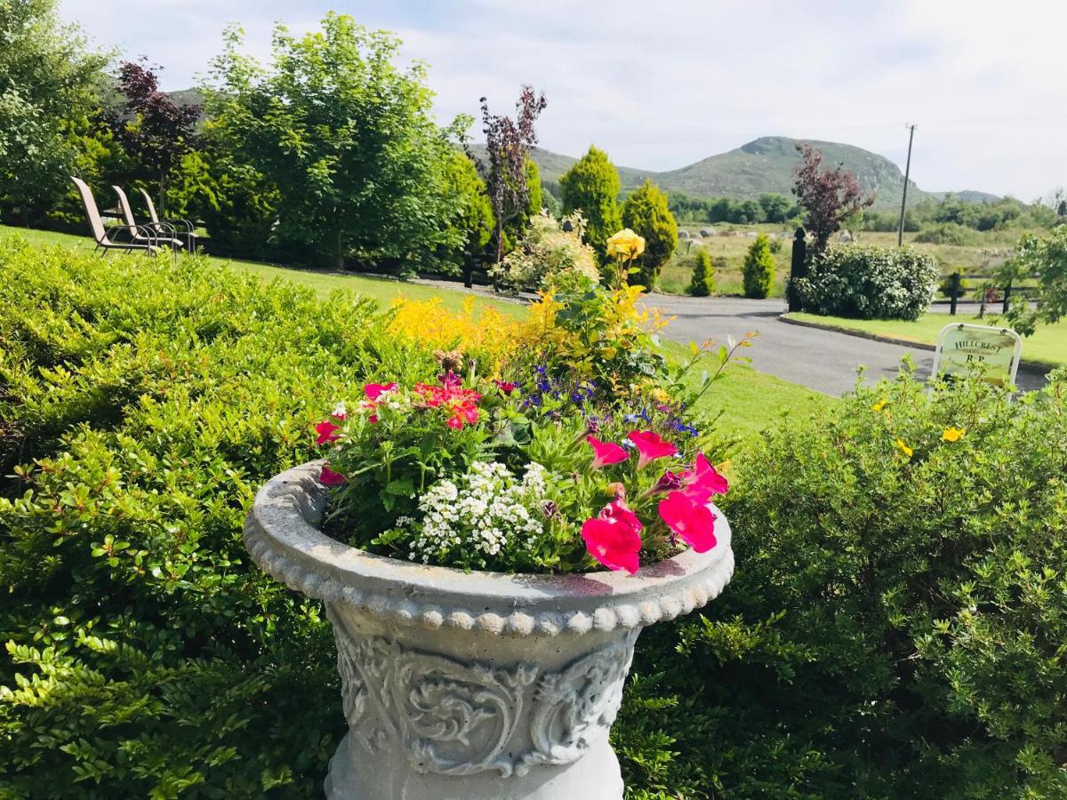 Hillcrest Farmhouse Bed & Breakfast Boyhollagh エクステリア 写真